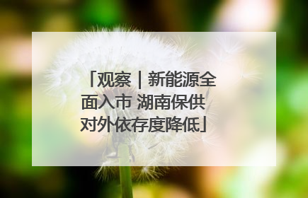 观察｜新能源全面入市 湖南保供对外依存度降低