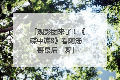 观影团来了！《碟中谍8》看阿汤哥最后一舞
