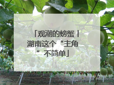 观潮的螃蟹丨湖南这个“主角”不简单