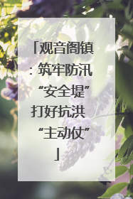 观音阁镇：筑牢防汛“安全堤” 打好抗洪“主动仗”