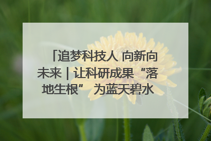 追梦科技人 向新向未来｜让科研成果“落地生根” 为蓝天碧水“保驾护航”
