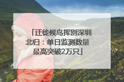 迁徙候鸟挥别深圳北归：单日监测数量最高突破2万只