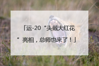 运-20“头戴大红花”亮相，总师也来了！