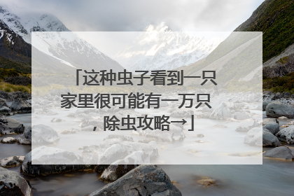 这种虫子看到一只家里很可能有一万只，除虫攻略→