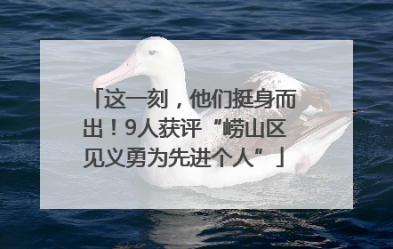 这一刻，他们挺身而出！9人获评“崂山区见义勇为先进个人”