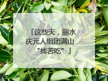 这些天，丽水庆元人组团满山“找苦吃”