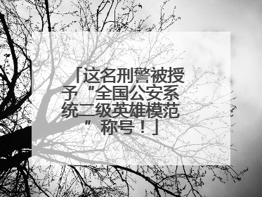 这名刑警被授予“全国公安系统二级英雄模范”称号！