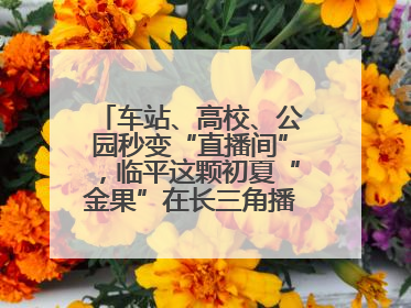 车站、高校、公园秒变“直播间”，临平这颗初夏“金果”在长三角播撒甜美