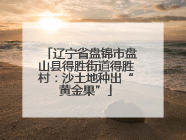 辽宁省盘锦市盘山县得胜街道得胜村：沙土地种出“黄金果”