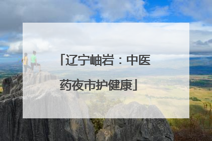辽宁岫岩：中医药夜市护健康