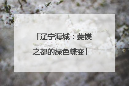 辽宁海城：菱镁之都的绿色蝶变