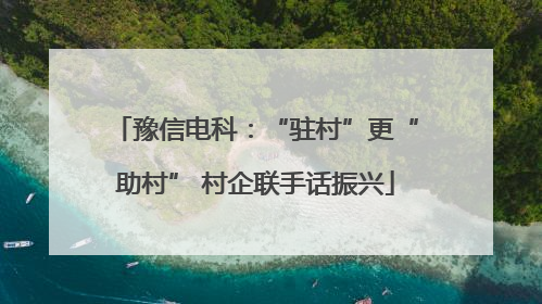 豫信电科：“驻村”更“助村” 村企联手话振兴