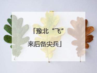 豫北“飞”来后备尖兵