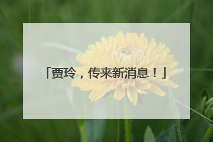 贾玲，传来新消息！