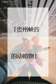 贵州峡谷的动植物