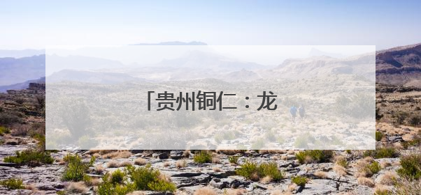 贵州铜仁：龙舟竞技庆端午