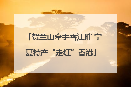 贺兰山牵手香江畔 宁夏特产“走红”香港