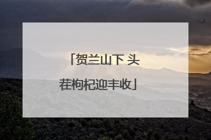 贺兰山下 头茬枸杞迎丰收