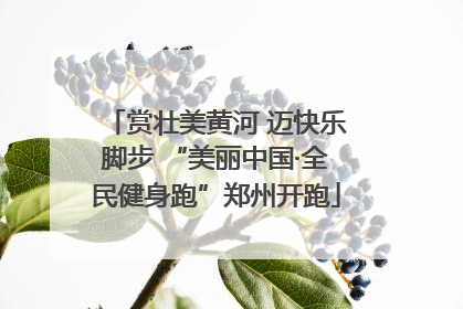 赏壮美黄河 迈快乐脚步 “美丽中国·全民健身跑”郑州开跑