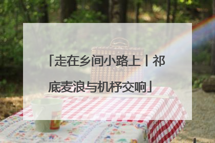 走在乡间小路上丨祁底麦浪与机杼交响