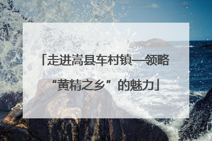 走进嵩县车村镇—领略“黄精之乡”的魅力