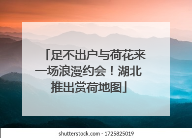 足不出户与荷花来一场浪漫约会！湖北推出赏荷地图