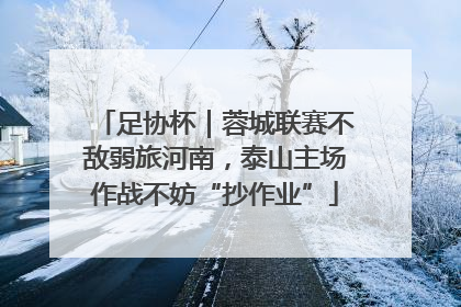 足协杯｜蓉城联赛不敌弱旅河南，泰山主场作战不妨“抄作业”