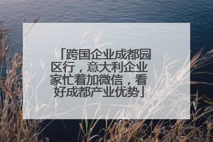 跨国企业成都园区行，意大利企业家忙着加微信，看好成都产业优势