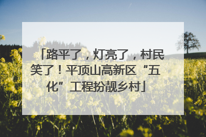 路平了，灯亮了，村民笑了！平顶山高新区“五化”工程扮靓乡村