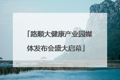 路顺大健康产业园媒体发布会盛大启幕