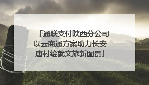 通联支付陕西分公司以云商通方案助力长安唐村绘就文旅新图景