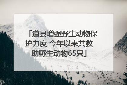 道县增强野生动物保护力度 今年以来共救助野生动物65只