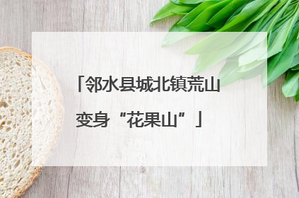 邻水县城北镇荒山变身“花果山”