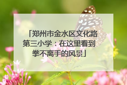 郑州市金水区文化路第三小学：在这里看到拳不离手的风景