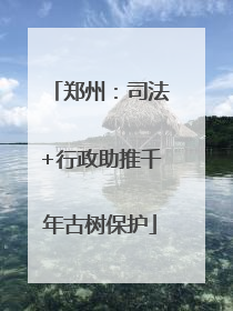 郑州：司法+行政助推千年古树保护
