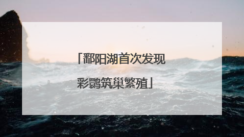 鄱阳湖首次发现彩鹮筑巢繁殖