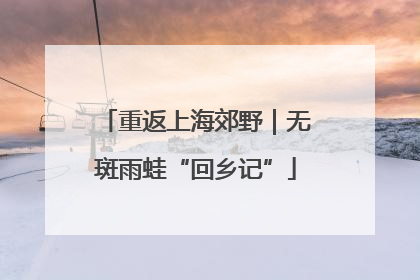 重返上海郊野｜无斑雨蛙“回乡记”