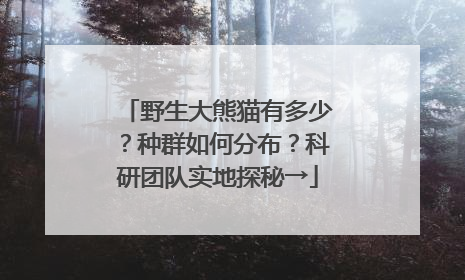 野生大熊猫有多少？种群如何分布？科研团队实地探秘→