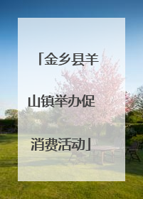 金乡县羊山镇举办促消费活动
