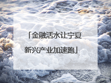 金融活水让宁夏新兴产业加速跑