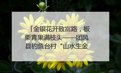 金银花开致富路，板栗青果满枝头——团风县钓鱼台村“山水生金”谱写共富新篇章