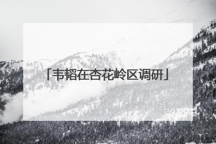 韦韬在杏花岭区调研