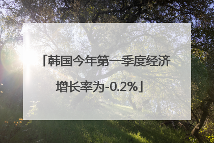韩国今年第一季度经济增长率为-0.2%