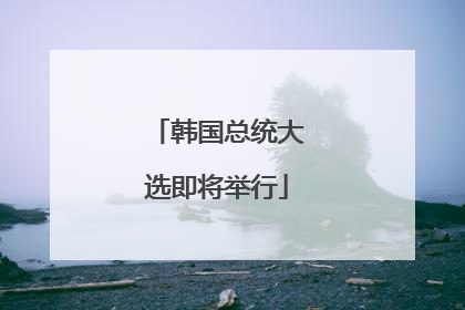 韩国总统大选即将举行