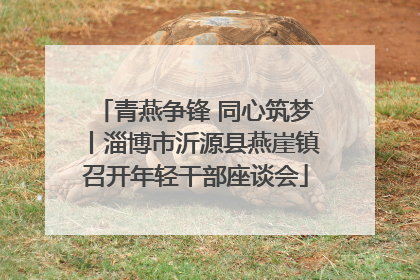 青燕争锋 同心筑梦丨淄博市沂源县燕崖镇召开年轻干部座谈会