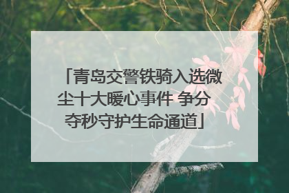 青岛交警铁骑入选微尘十大暖心事件 争分夺秒守护生命通道