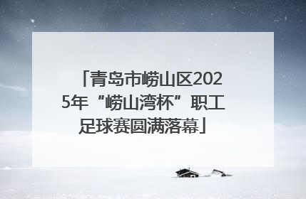 青岛市崂山区2025年“崂山湾杯”职工足球赛圆满落幕