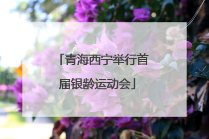 青海西宁举行首届银龄运动会