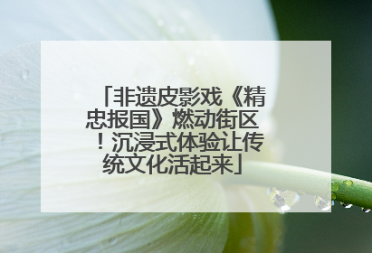 非遗皮影戏《精忠报国》燃动街区！沉浸式体验让传统文化活起来