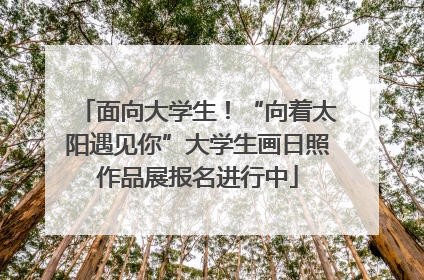 面向大学生！“向着太阳遇见你”大学生画日照作品展报名进行中